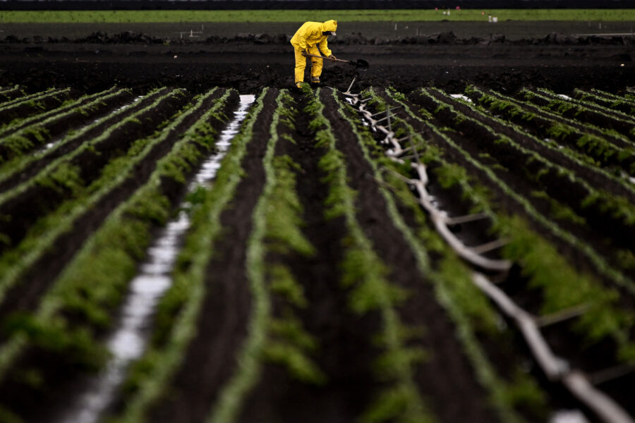 California Pesticide Regulators’ Lax Oversight Violates Civil Rights Laws, Coalition Charges